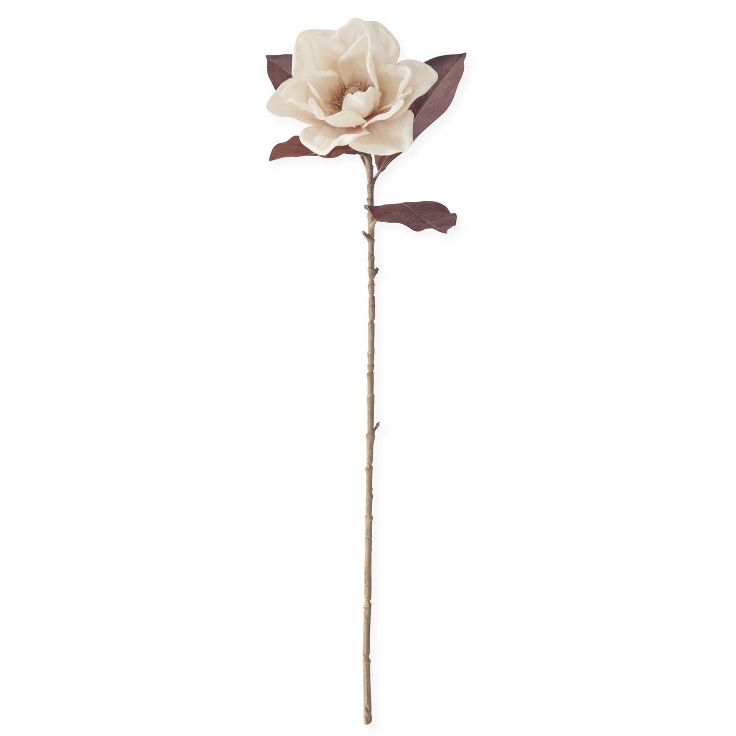 Ivory Magnolia Stem