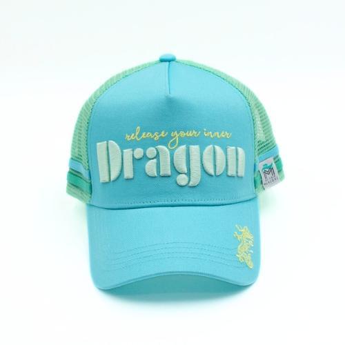 Release Your Inner Dragon Blue Cap