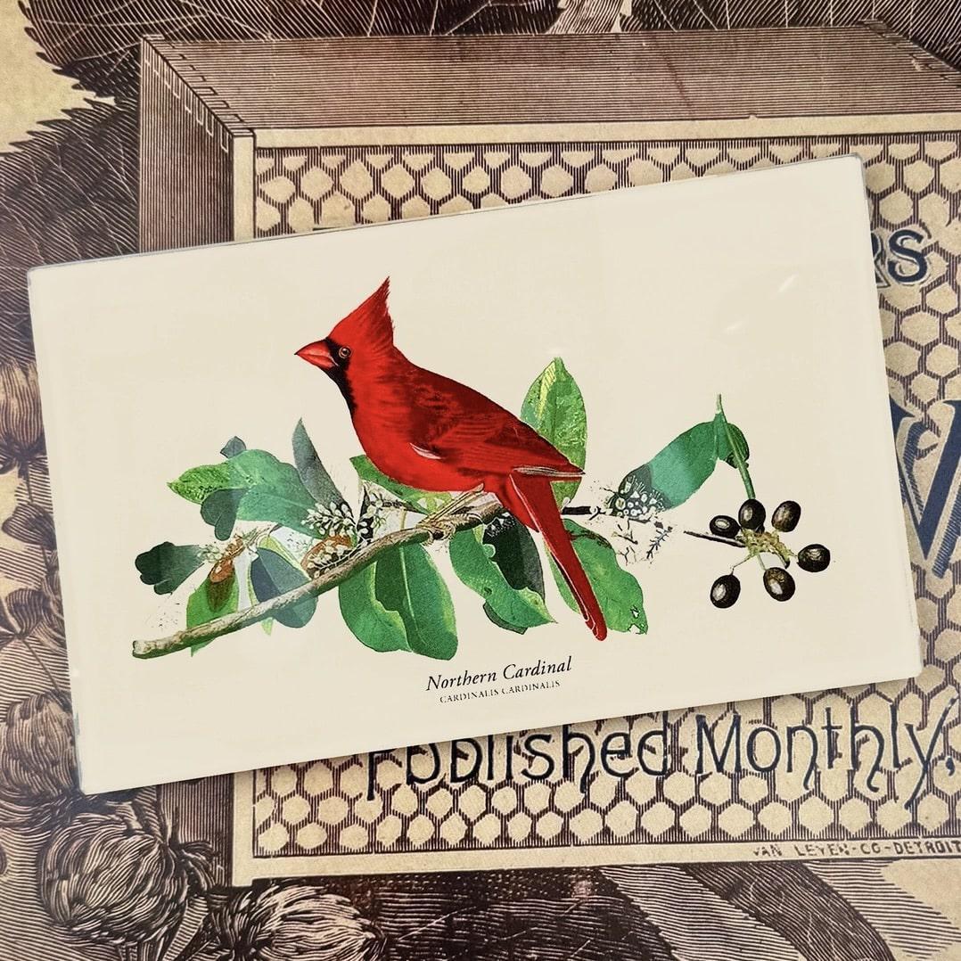 American Cardinal Decoupage Glass Tray