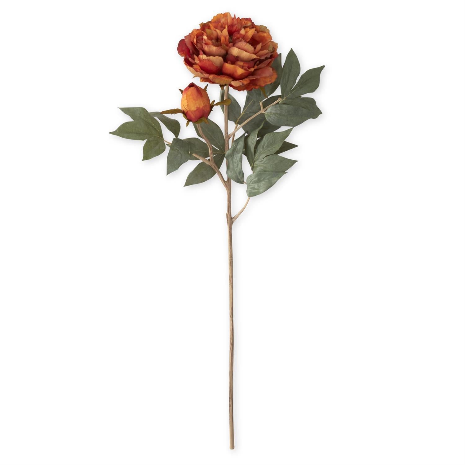 Faux Dried Rusty Orange Peony Stem