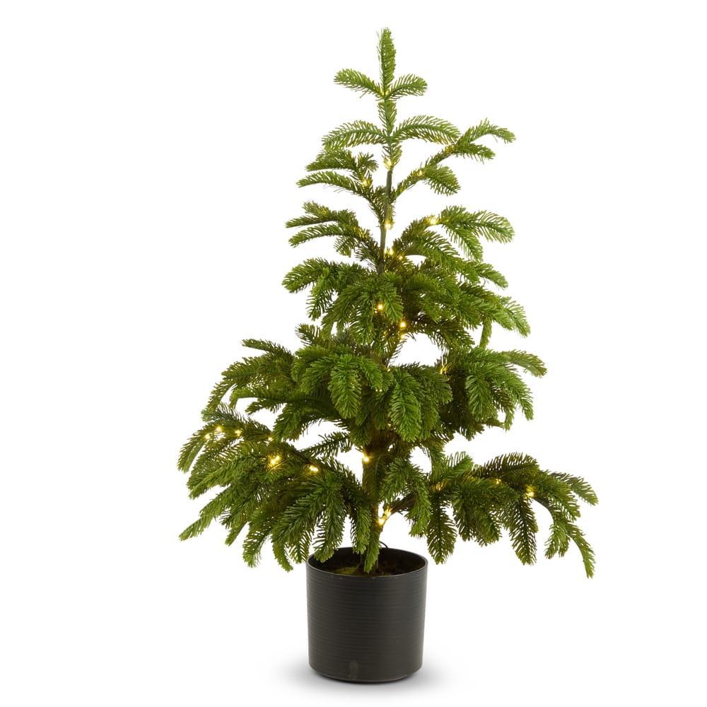 Pre-lite Norfolk Pine Tree