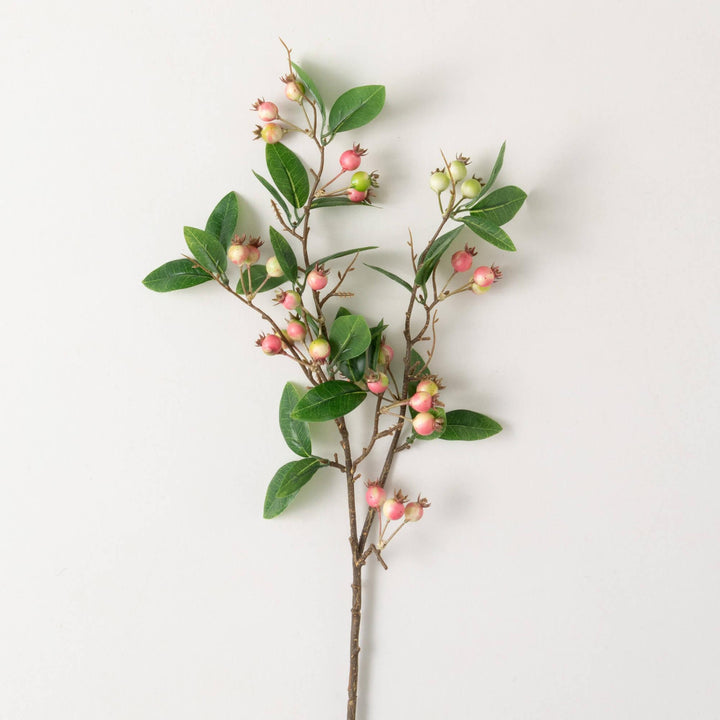 Pink Berry Spray
