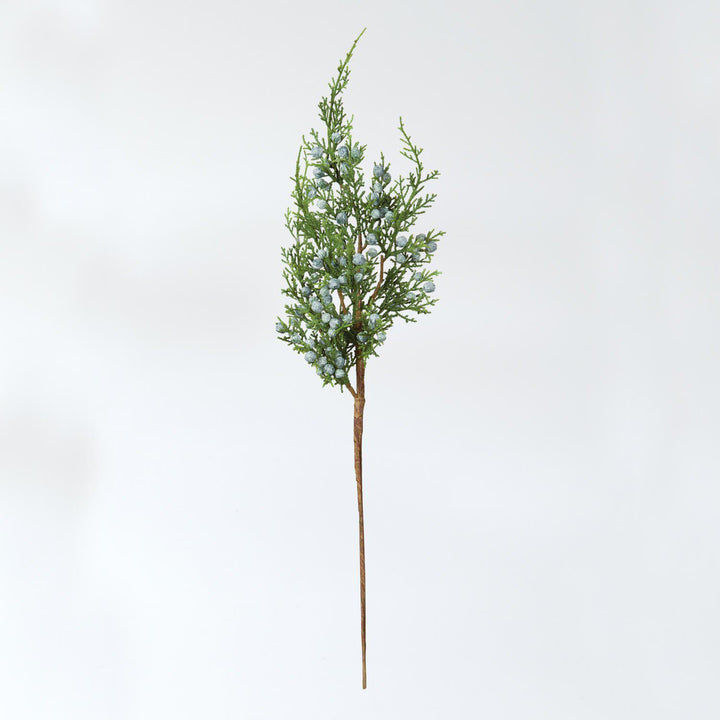 Juniper & Berry Spray