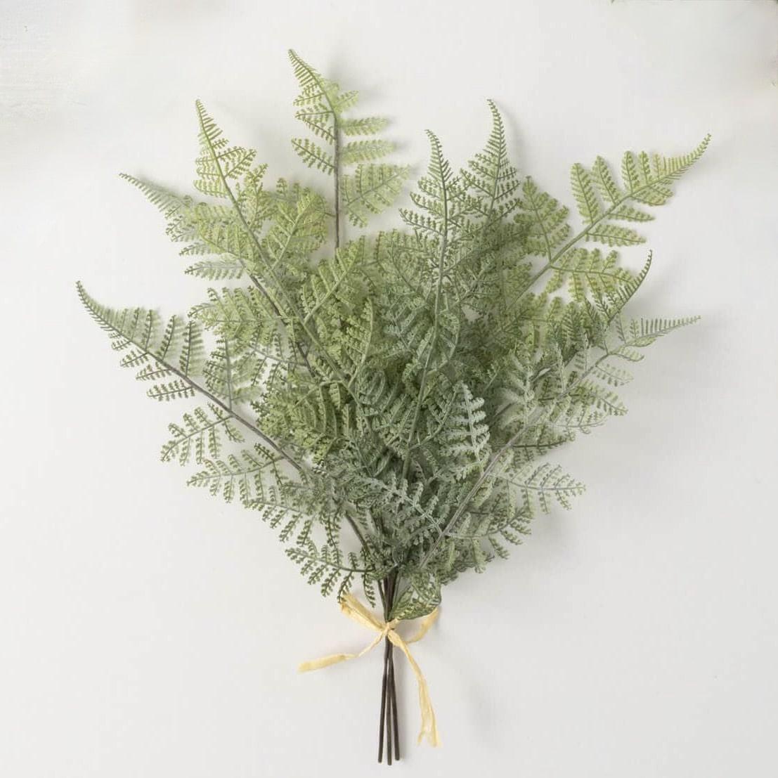 Green Fern Stem Bunch