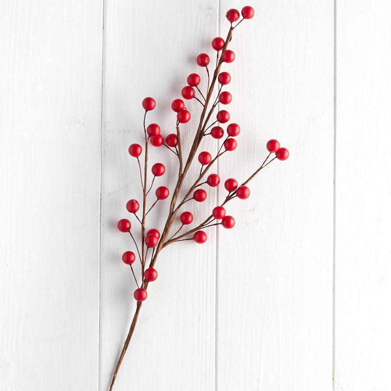 Red Berry Stem