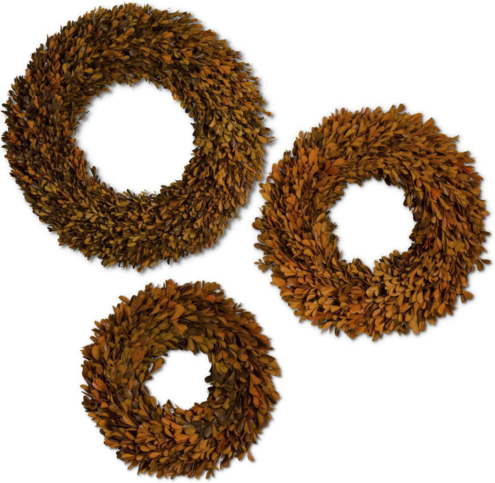 Orange Preserved Boxwood Wreath