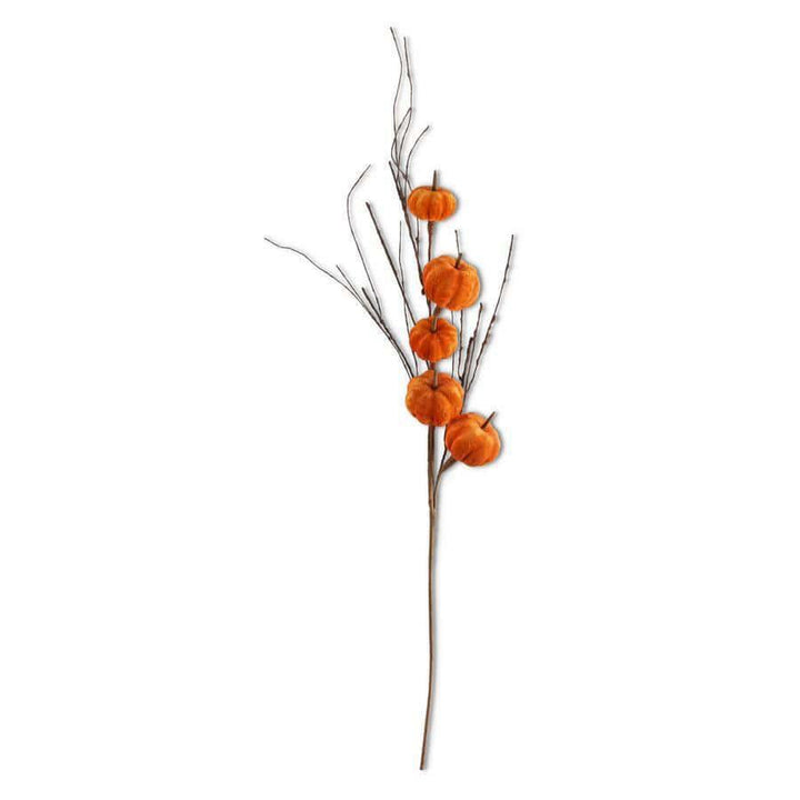 Orange Velvet Pumpkin Stem