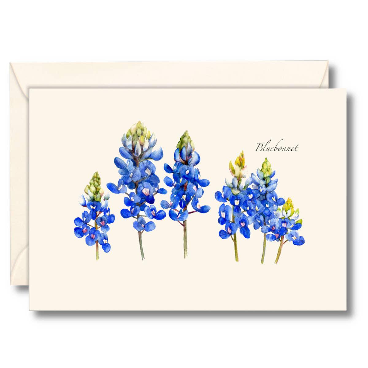 Bluebonnet Boxed Notecards