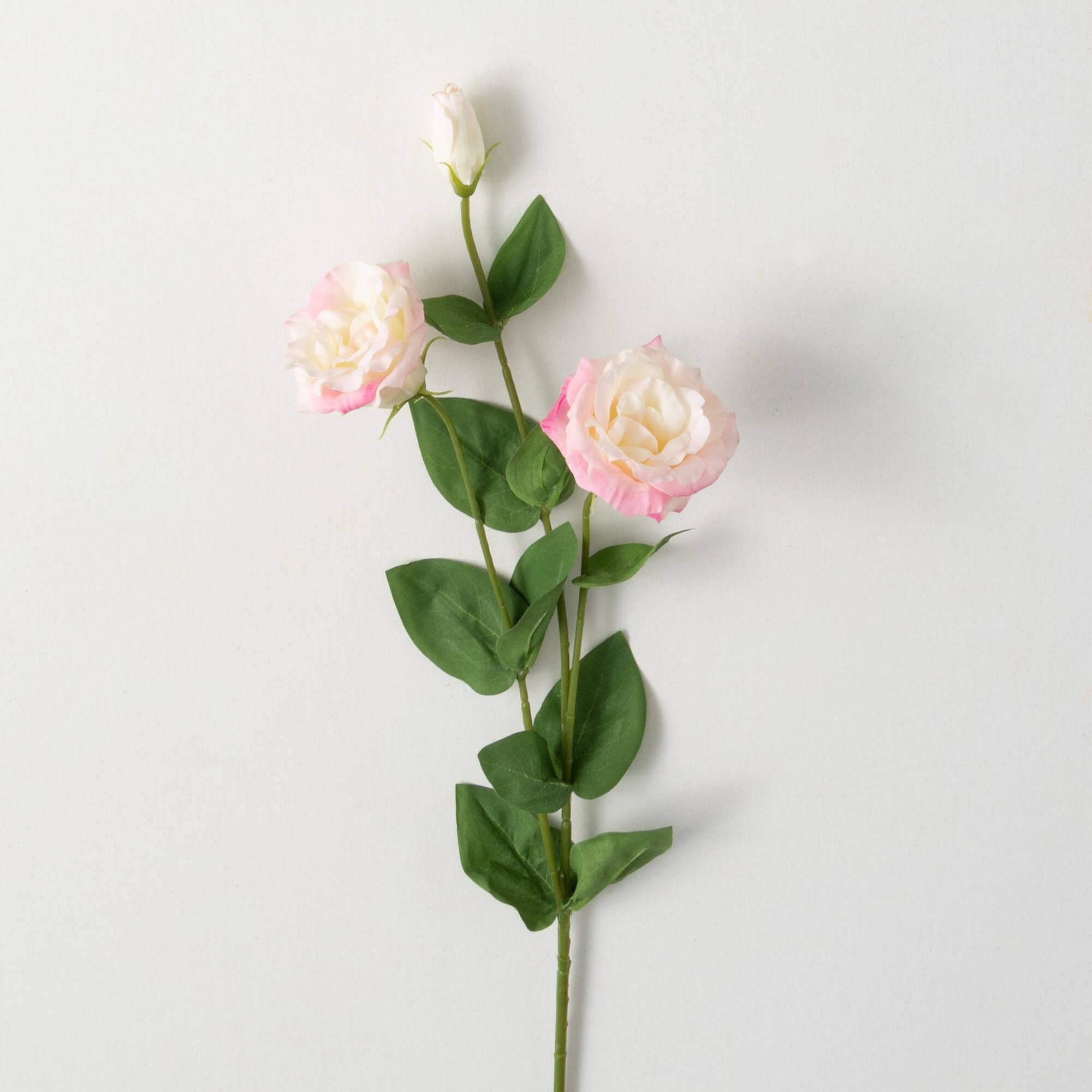 Freshcut Blush Lisianthus Stem