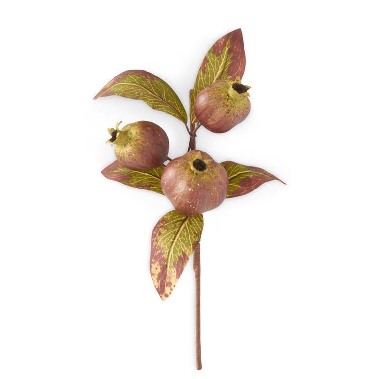 Speckled Pomegranate Pick