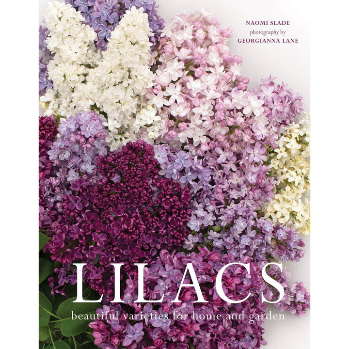 Lilacs: Beautiful Varieties For Home & Garden