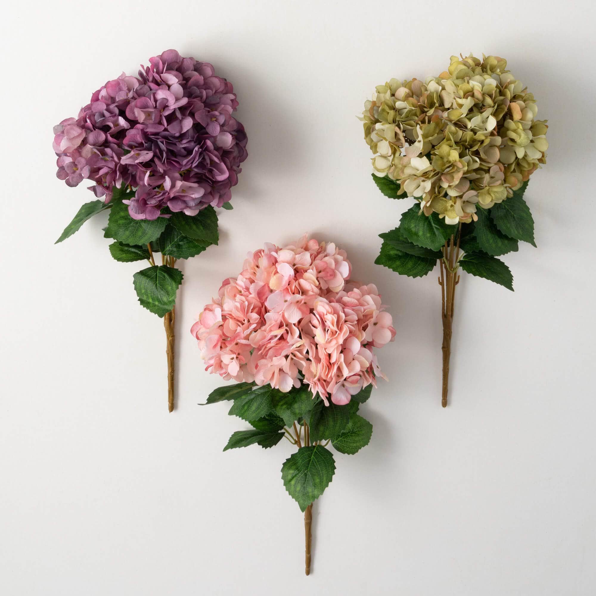 Hydrangea Stem