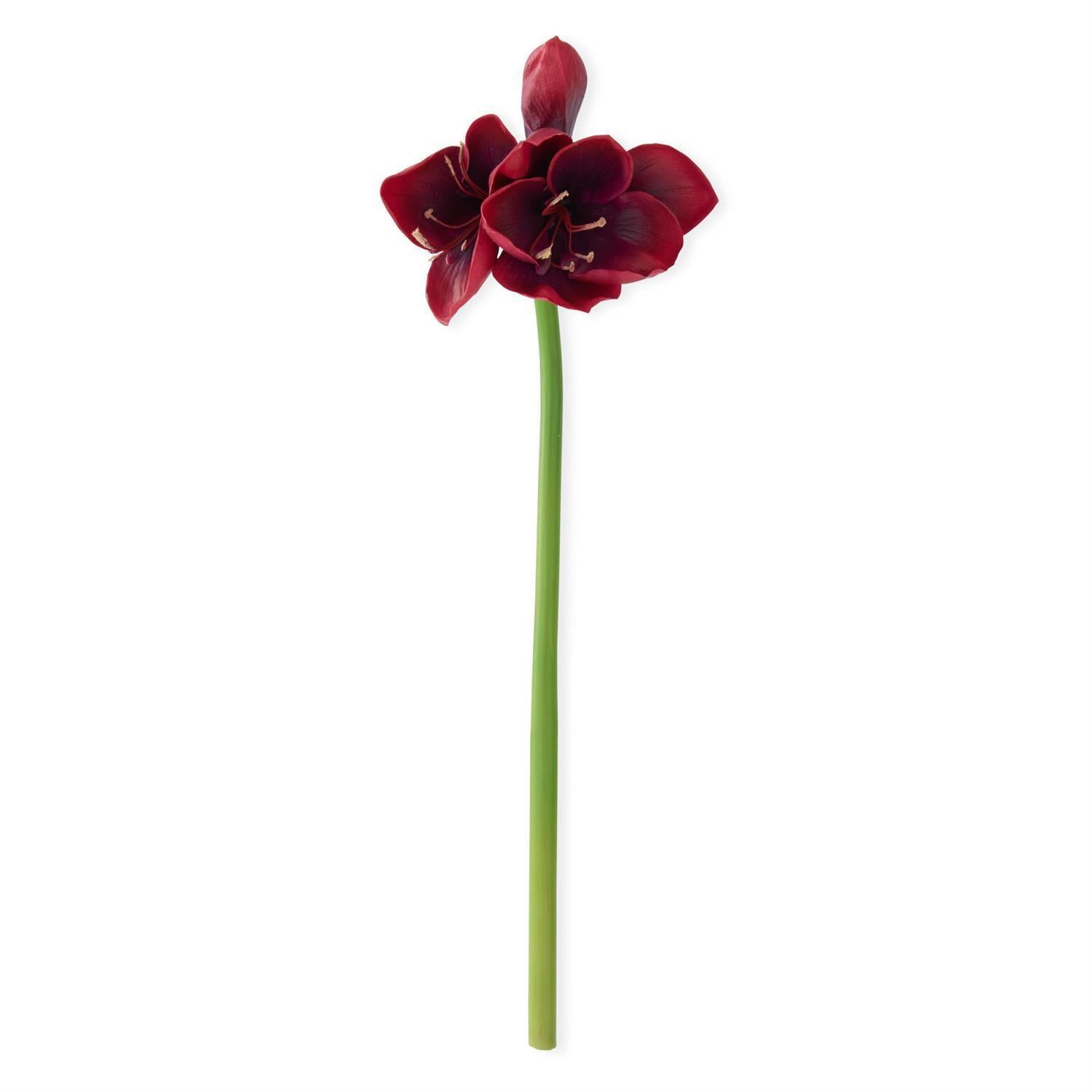 Real Touch Burgundy Amaryllis Stem