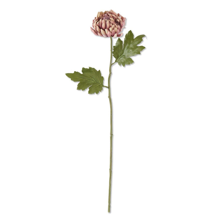 Mauve Stem