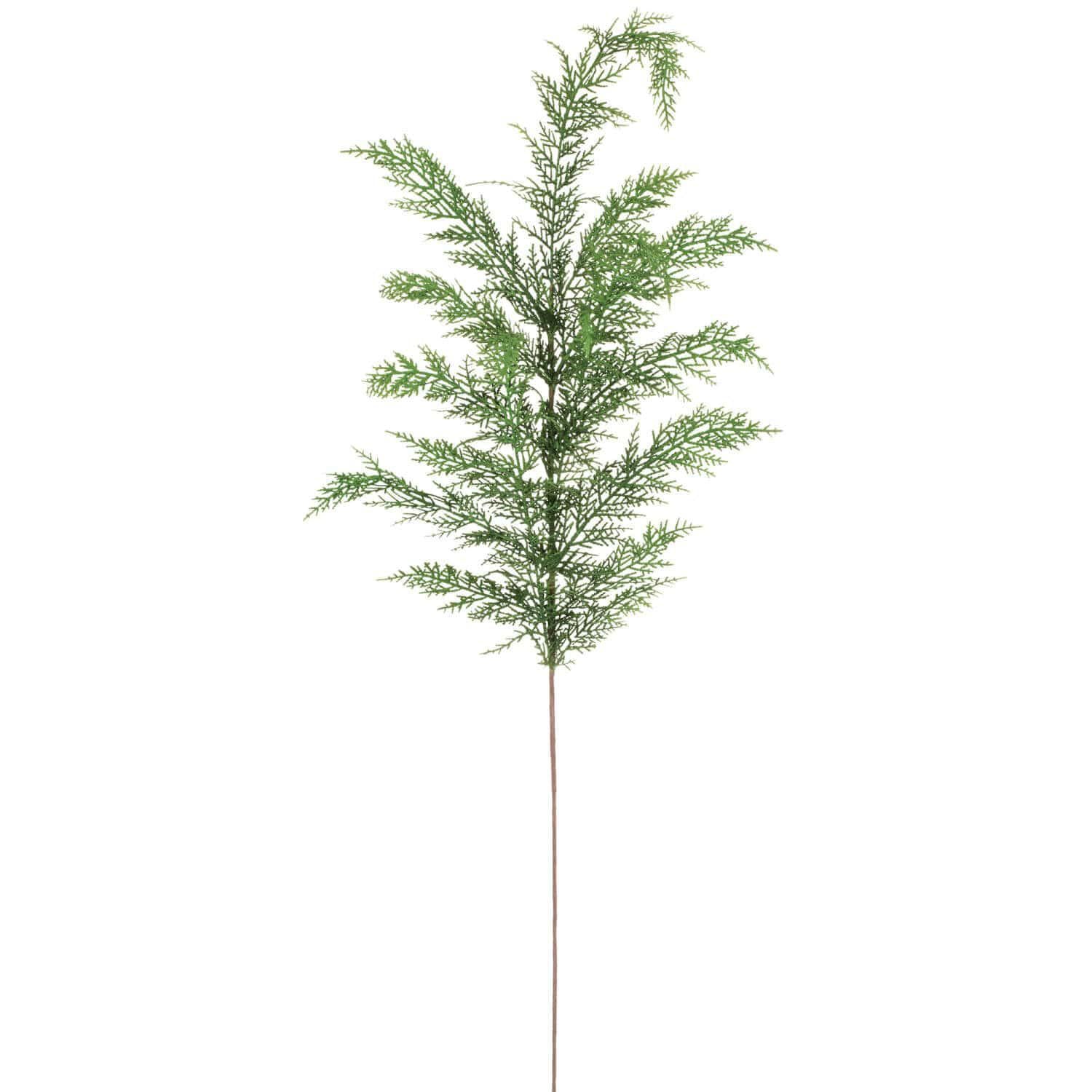 Dainty Cypress Spray