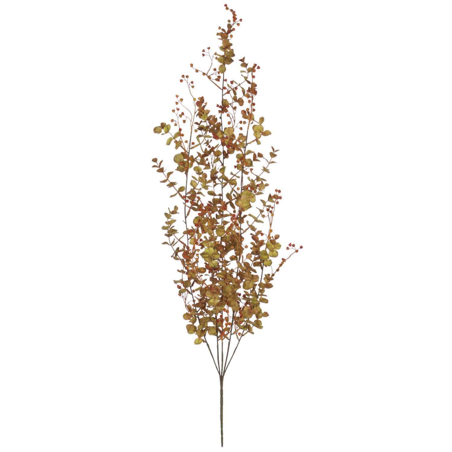 Fall Eucalyptus Vine