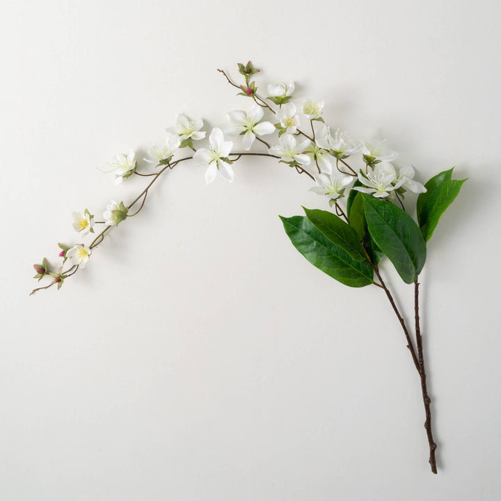 White Peach Blossom Stem