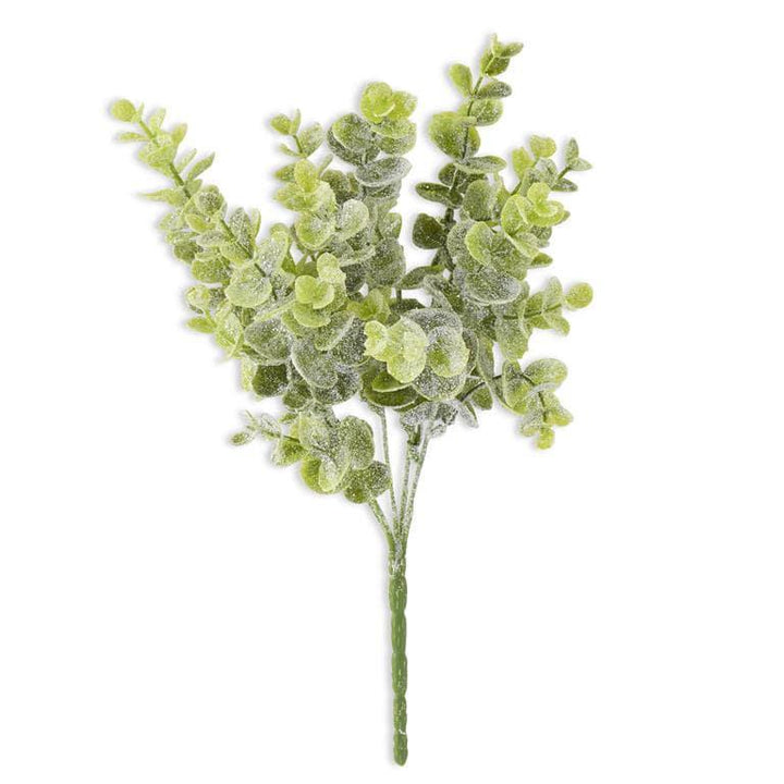 Glittered Snowy Eucalyptus Bush