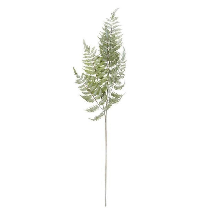 Real Touch Ostrich Fern Stem