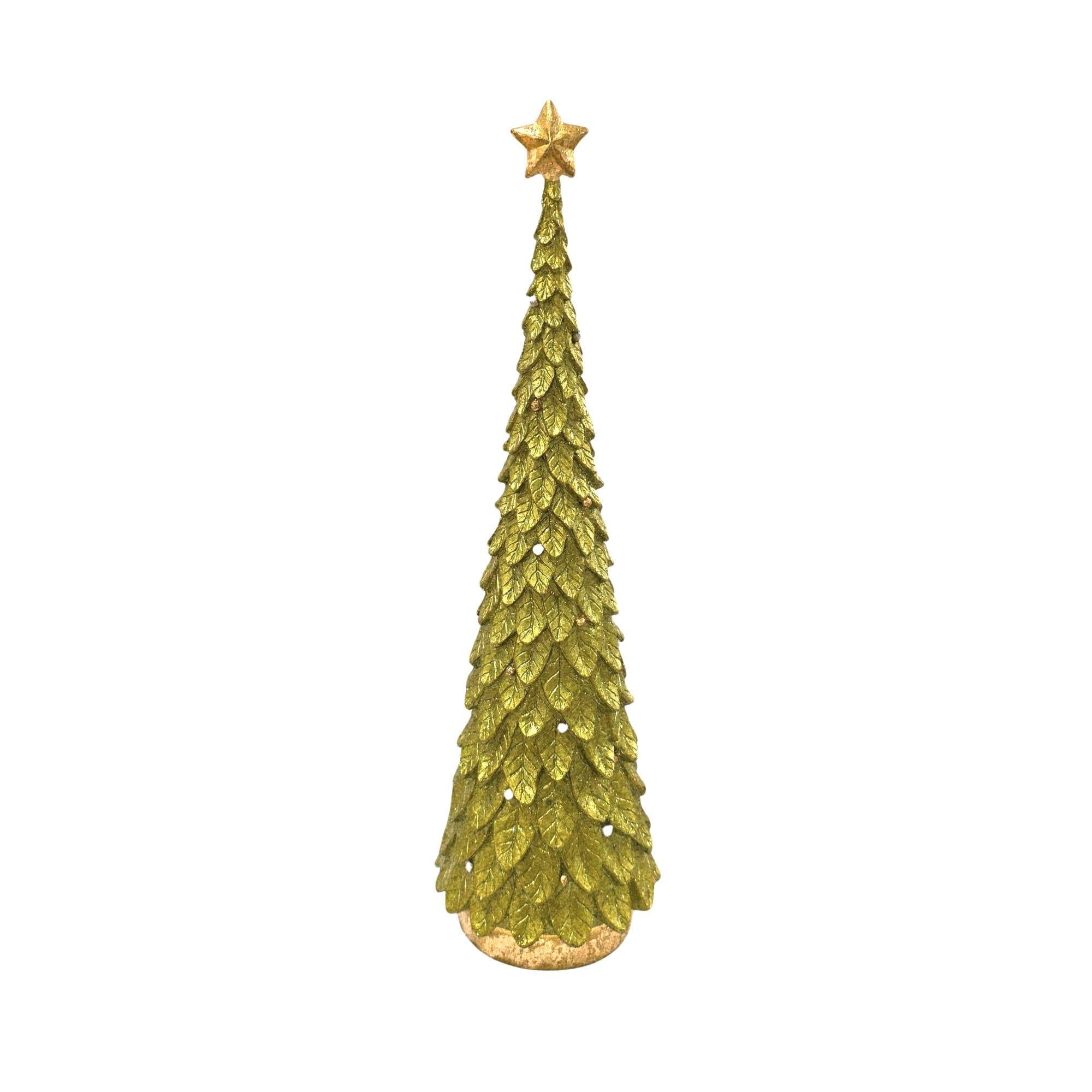 Lime Holly Slim Tree