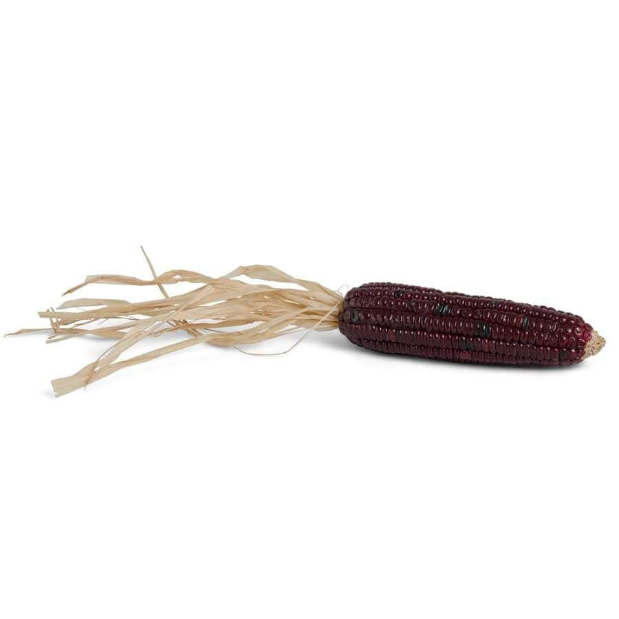 Burgundy Corn Cob with Natural Husk