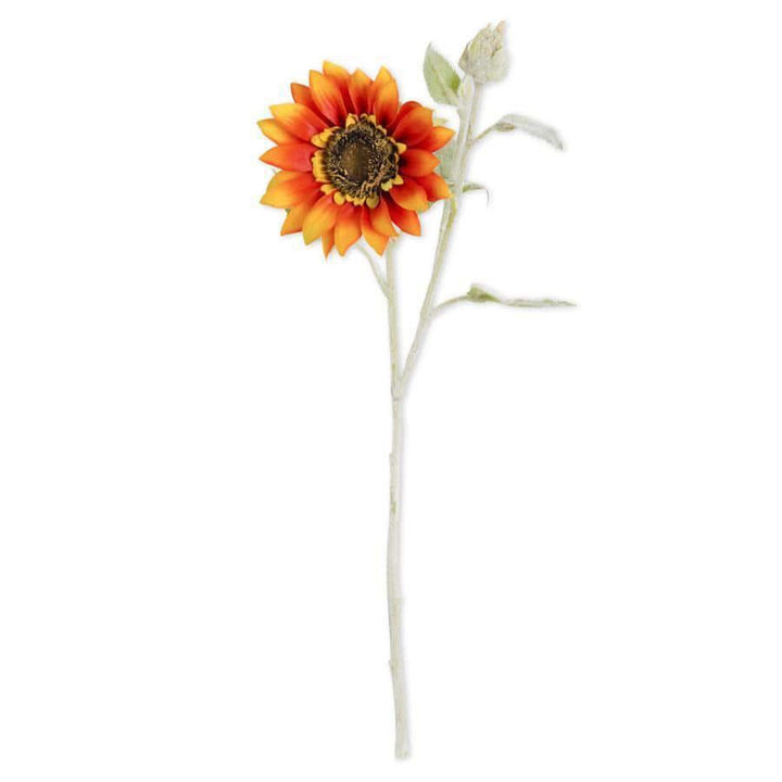 Light Orange Sunflower