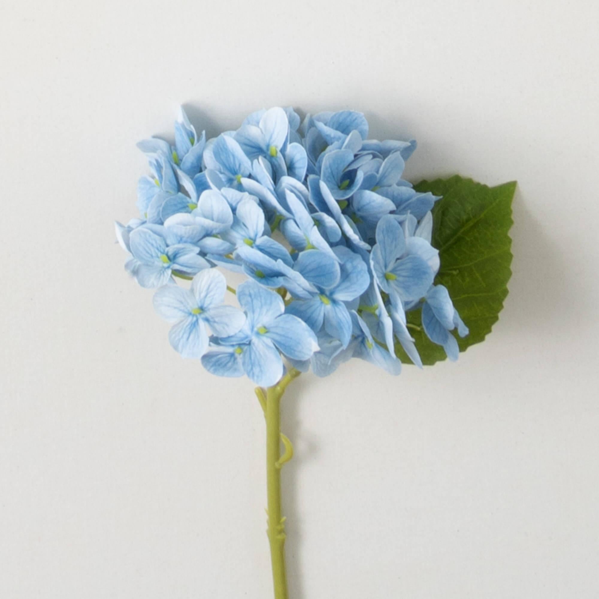Blue Short Stem Hydrangea