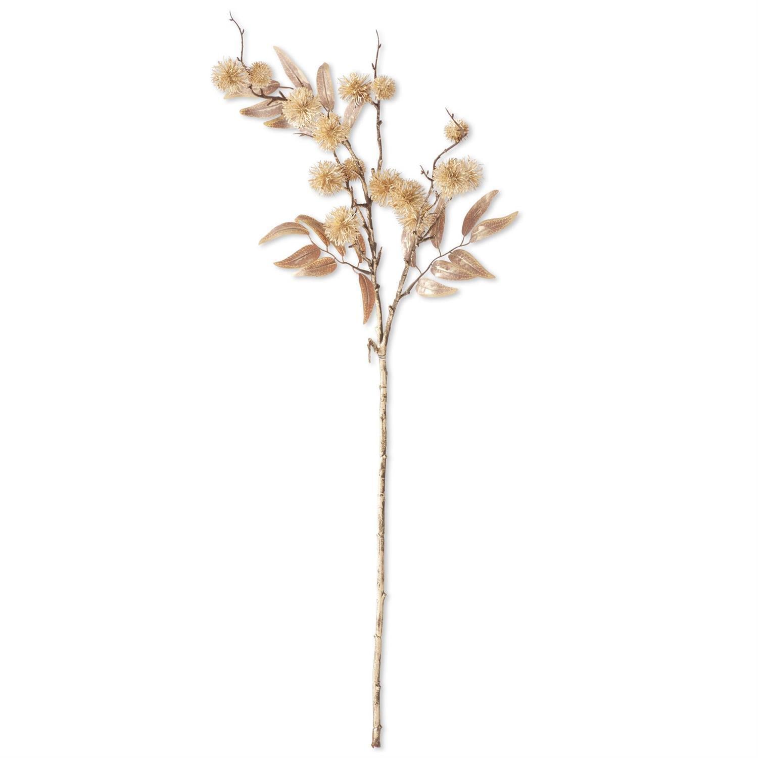 Gold Thistle Stem