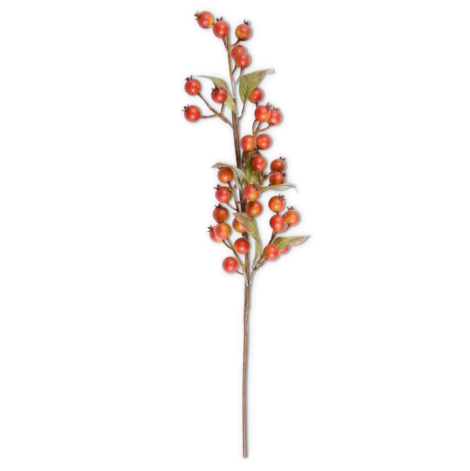 Burnt Orange Rosehip Stem