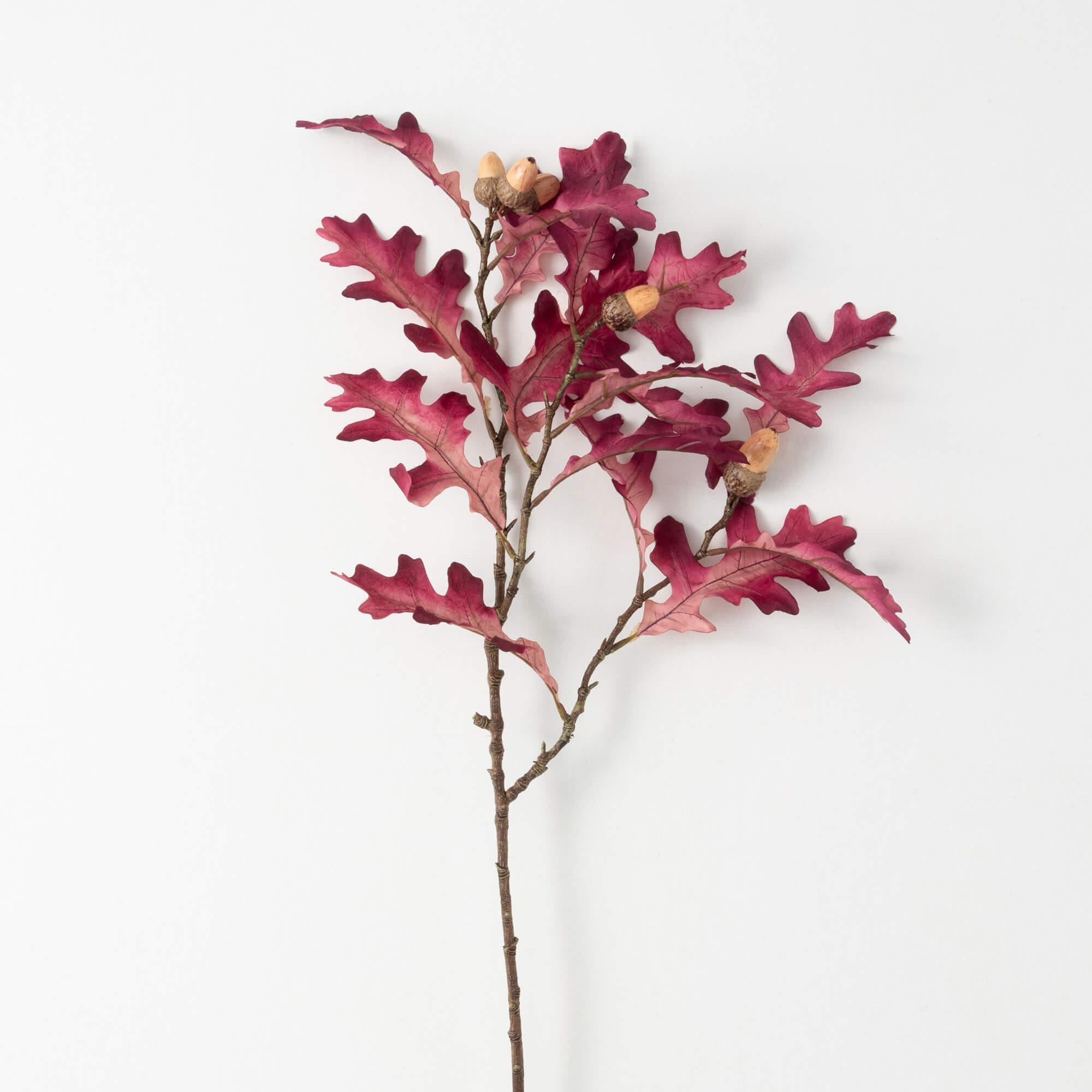 Fall Purple Oak Leaf Stem