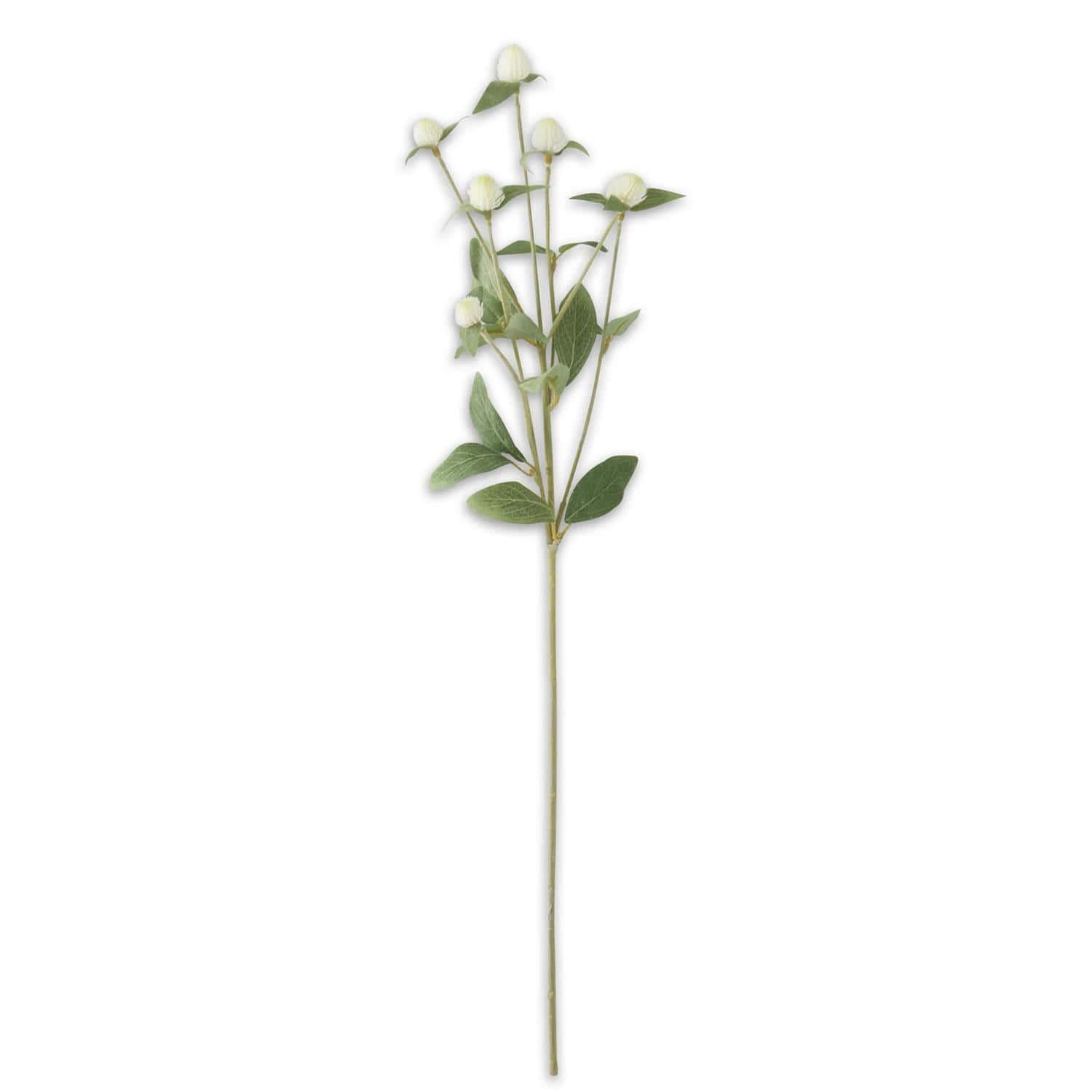 White Globe Thistle Spray