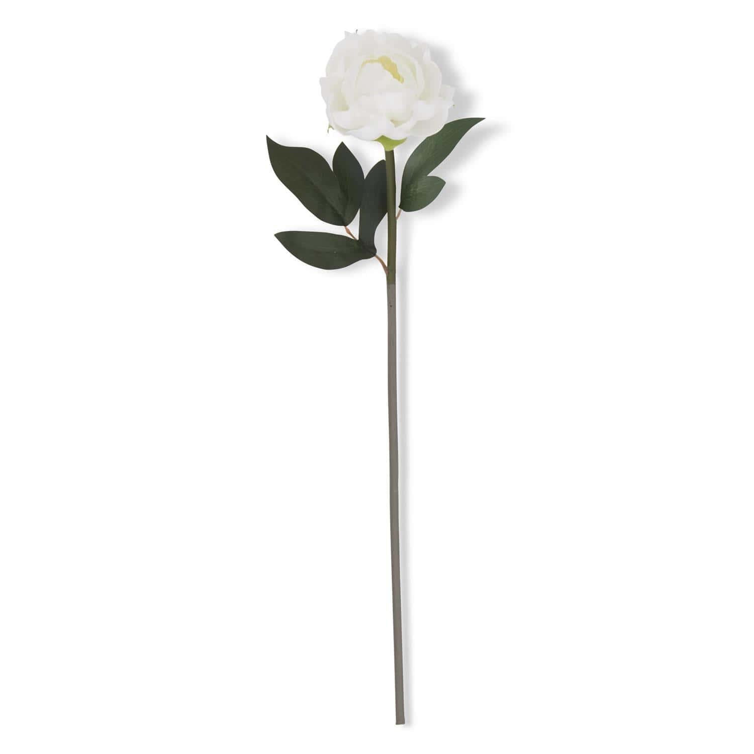 White Real Touch Peony Stem