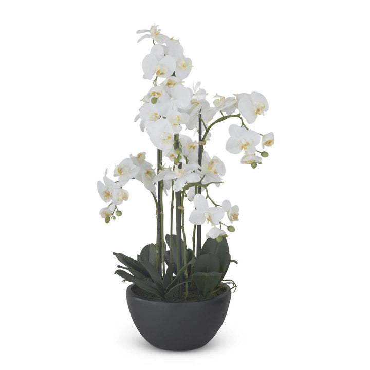 Real Touch Orchid in Matte Black Container