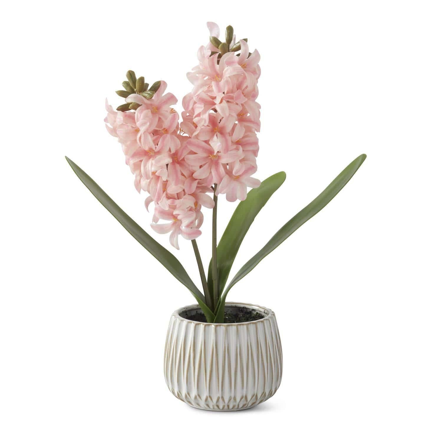 Pink Real Touch Hyacinth in White Ceramic Pot