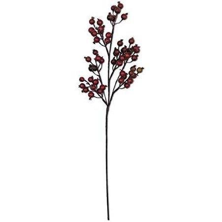 Crab Apple Stem