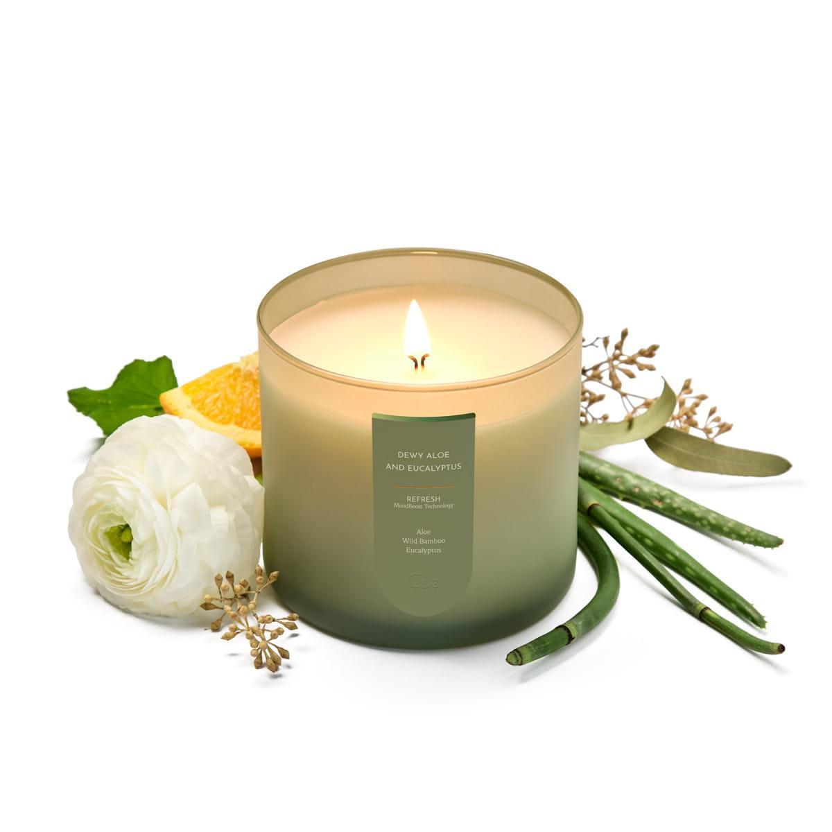 Dewy Aloe and Eucalyptus Candle | Refresh