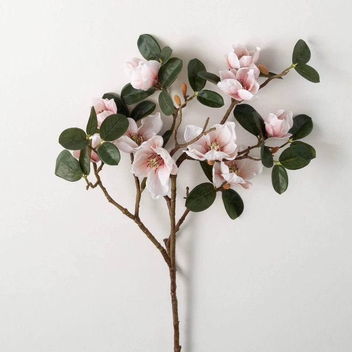 Blush Magnolia Stem