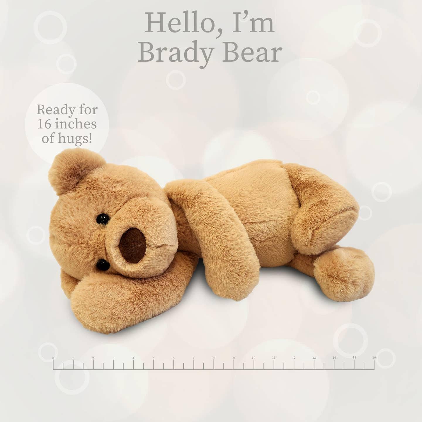 Brady Bear