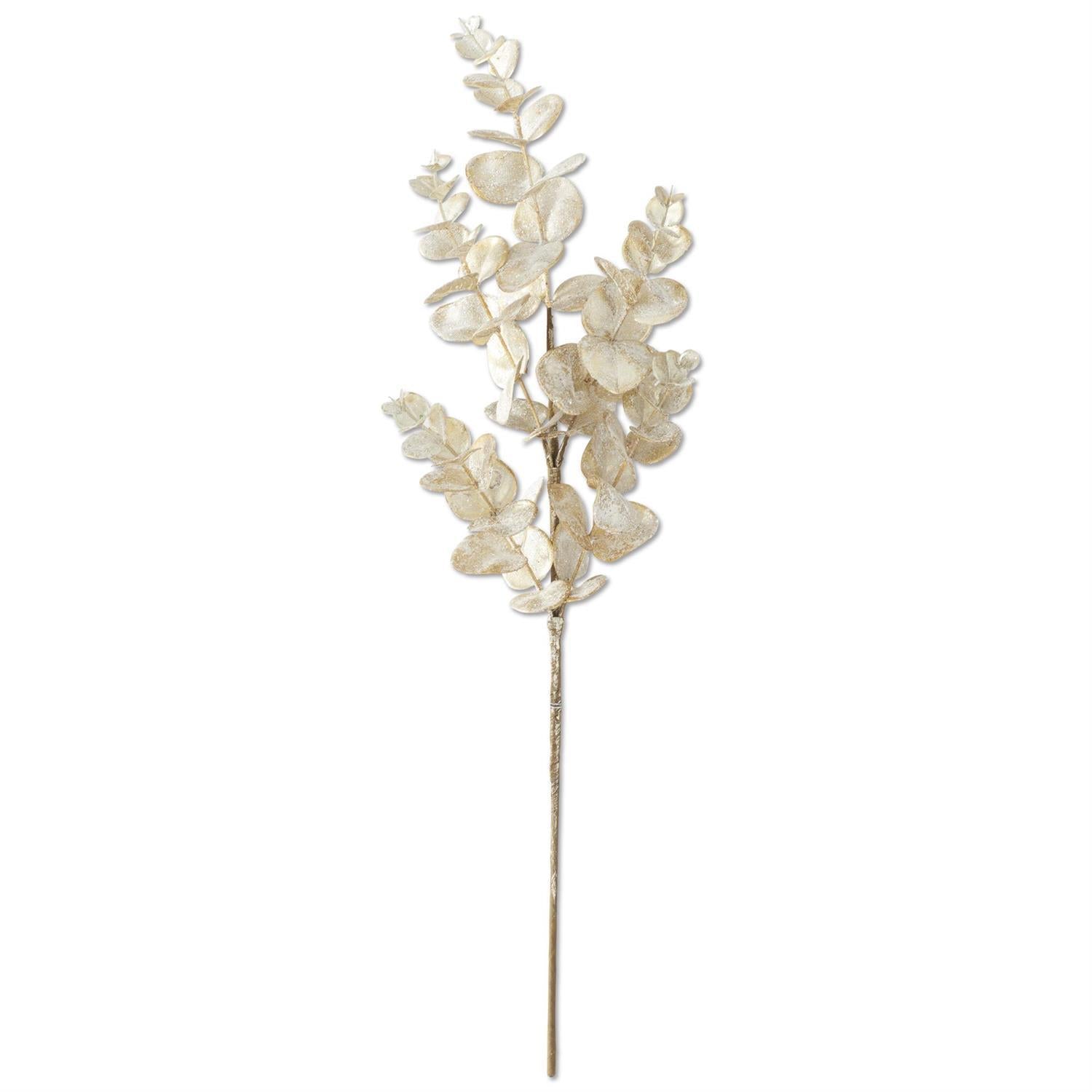Snowy Champagne Eucalyptus Stem
