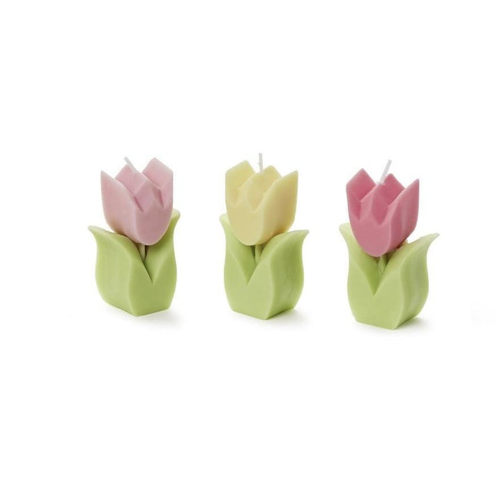 Tulip Garden Hand-Crafted Candle