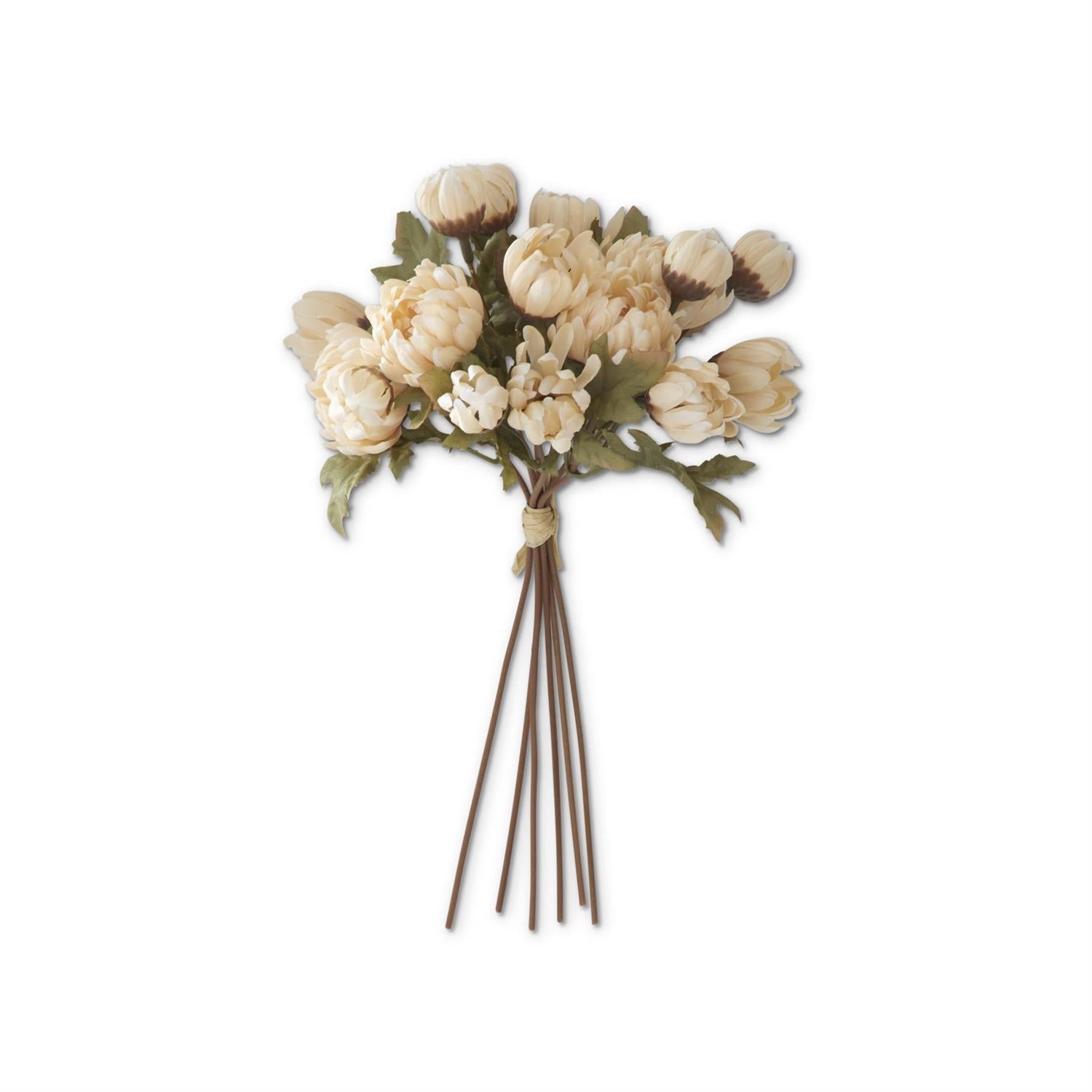 Cream Dahlia Bundle