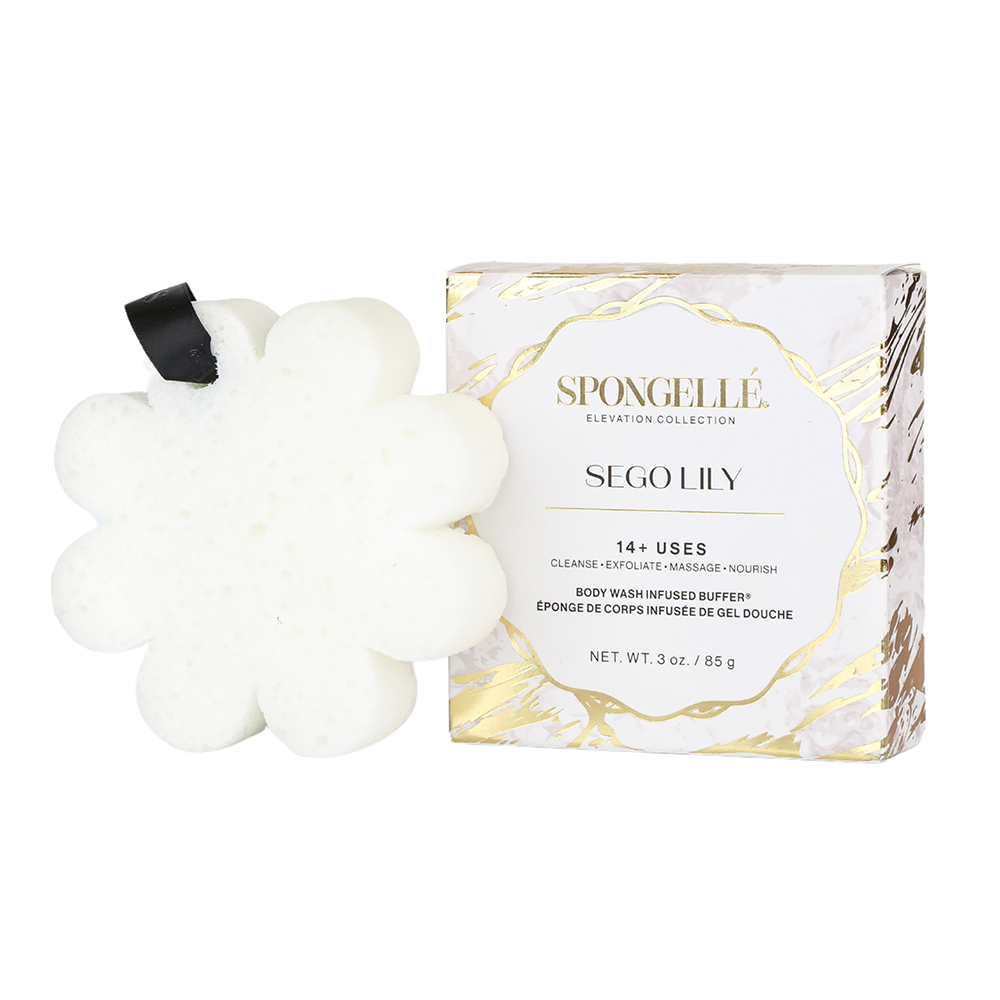 Sego Lily Boxed Flower | Spongellé