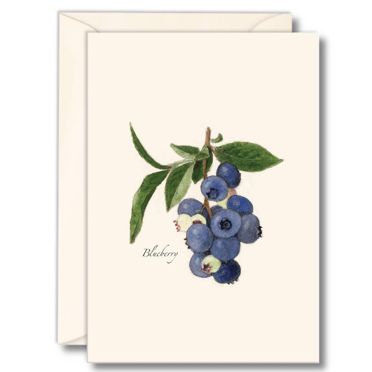 Blueberry Boxed Notecards