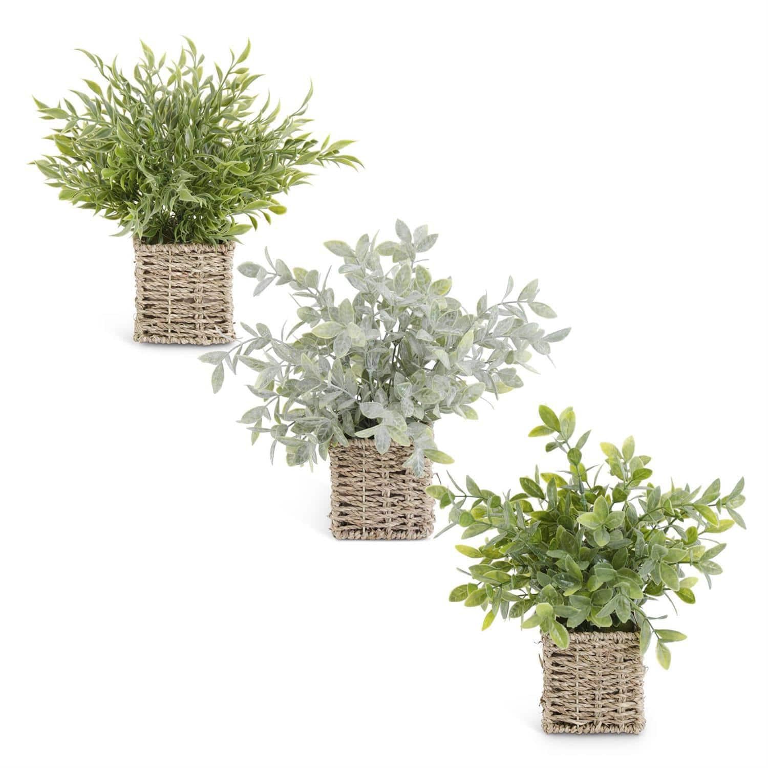 Herbs in Basket