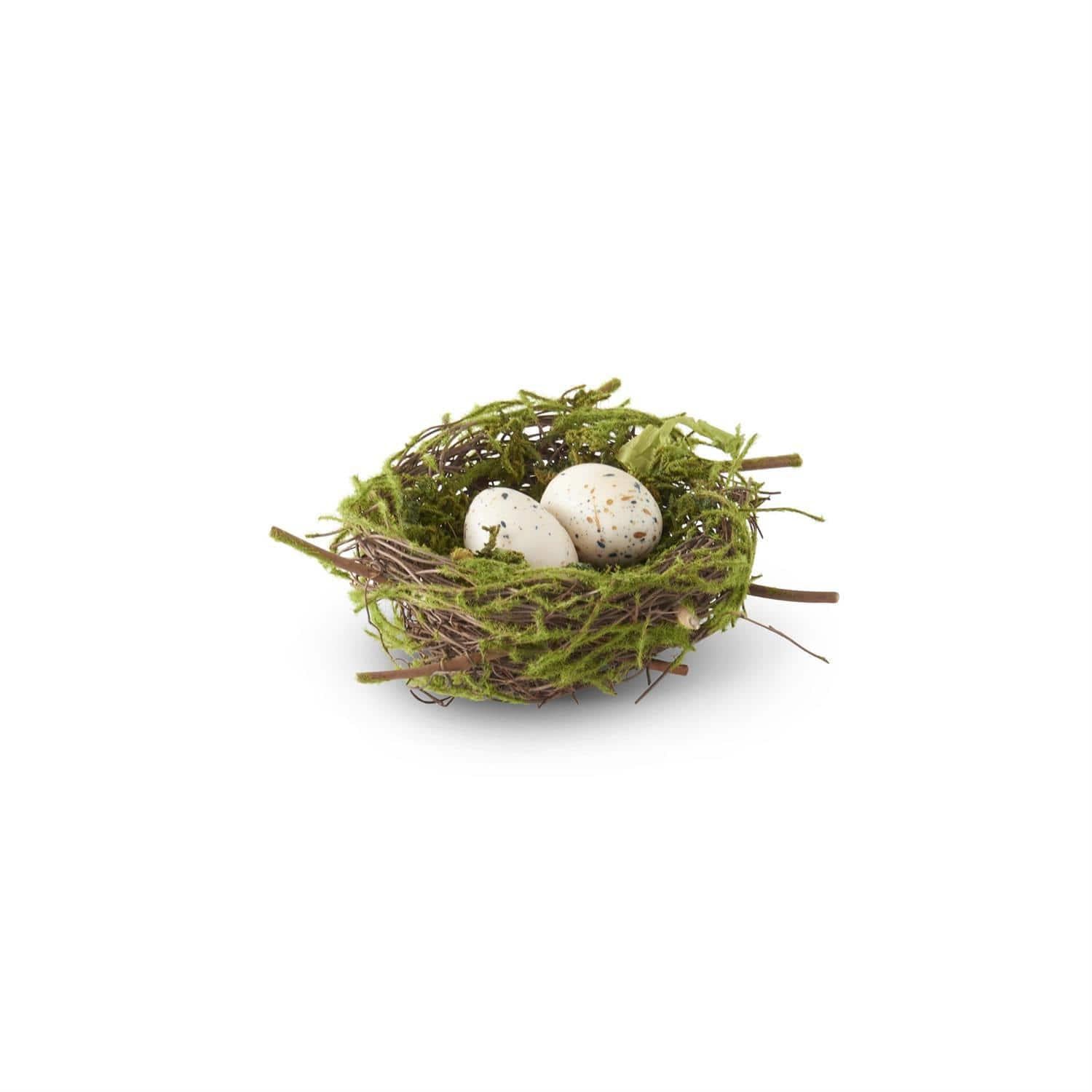 Bird Nest with Eggs