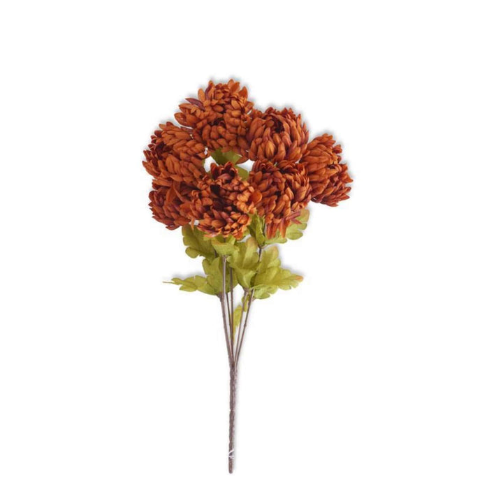 Rust Mum Bush