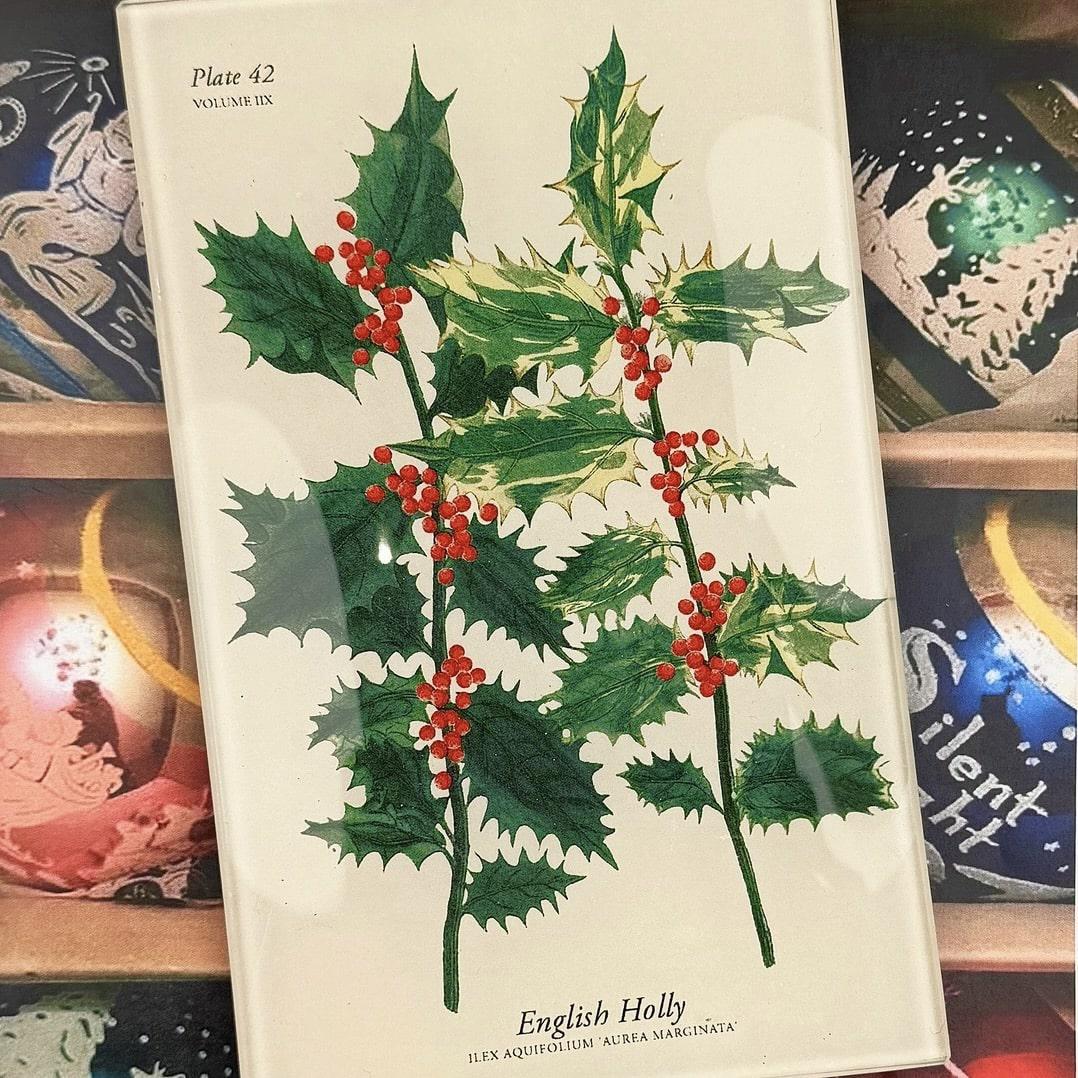 English Holly Stems Decoupage Glass Tray