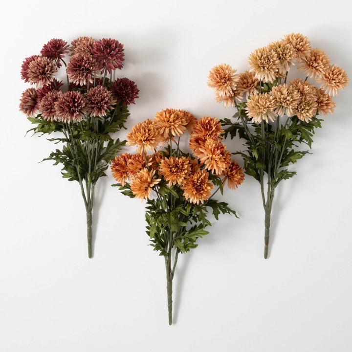 Straw Flower Bush