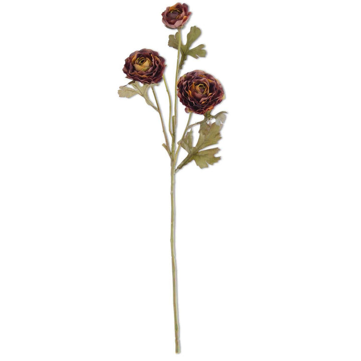 Deep Orange Ranunculus Stem