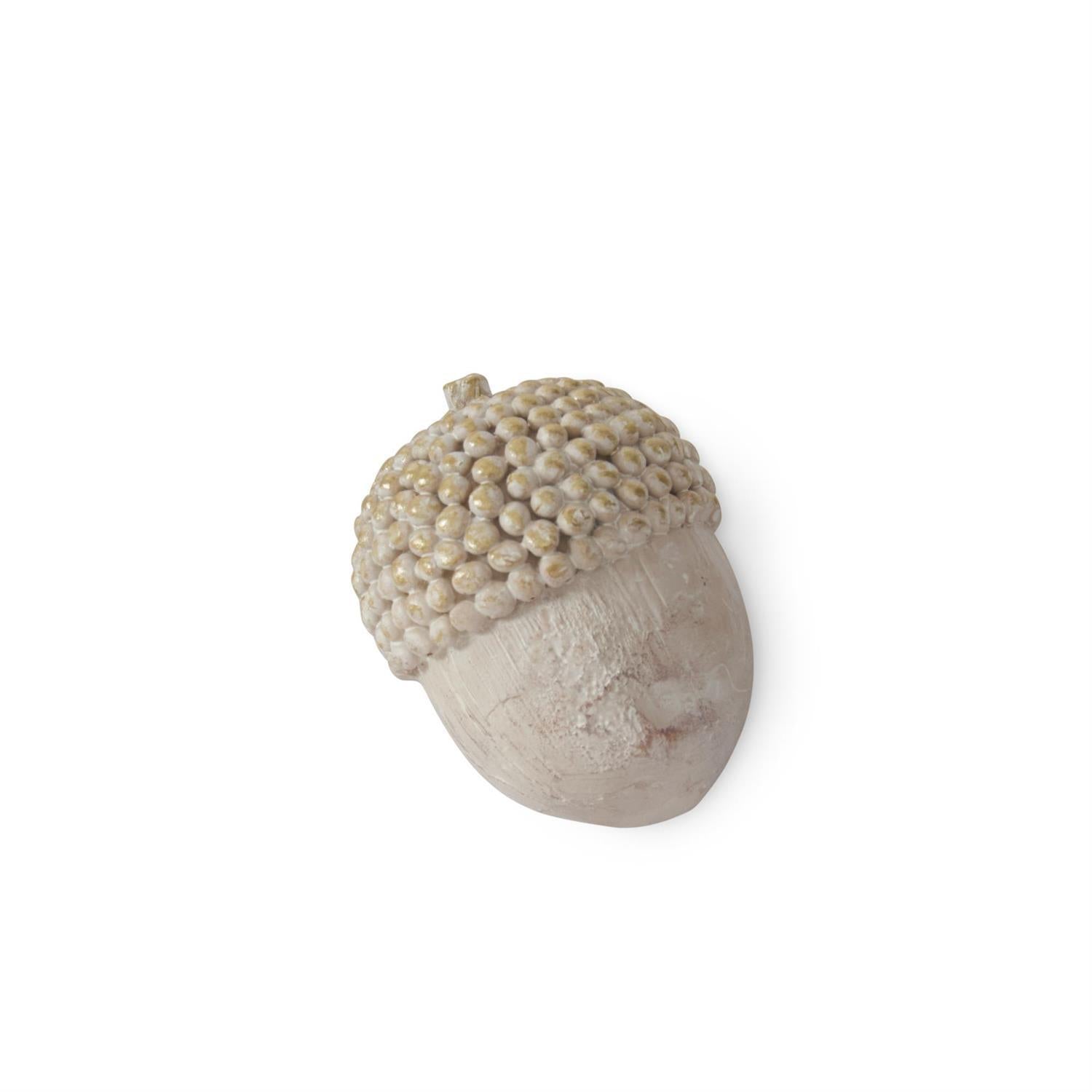Cream & Gold Acorn